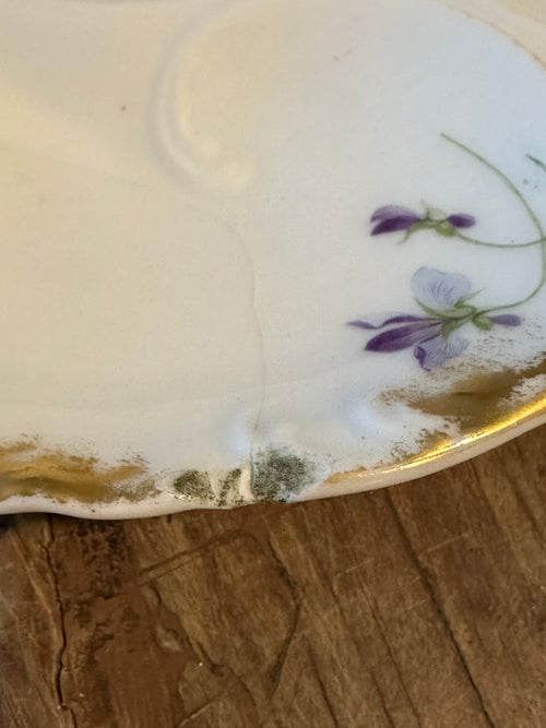 Antique Haviland & Co. Limoges Oyster Plate – 8"