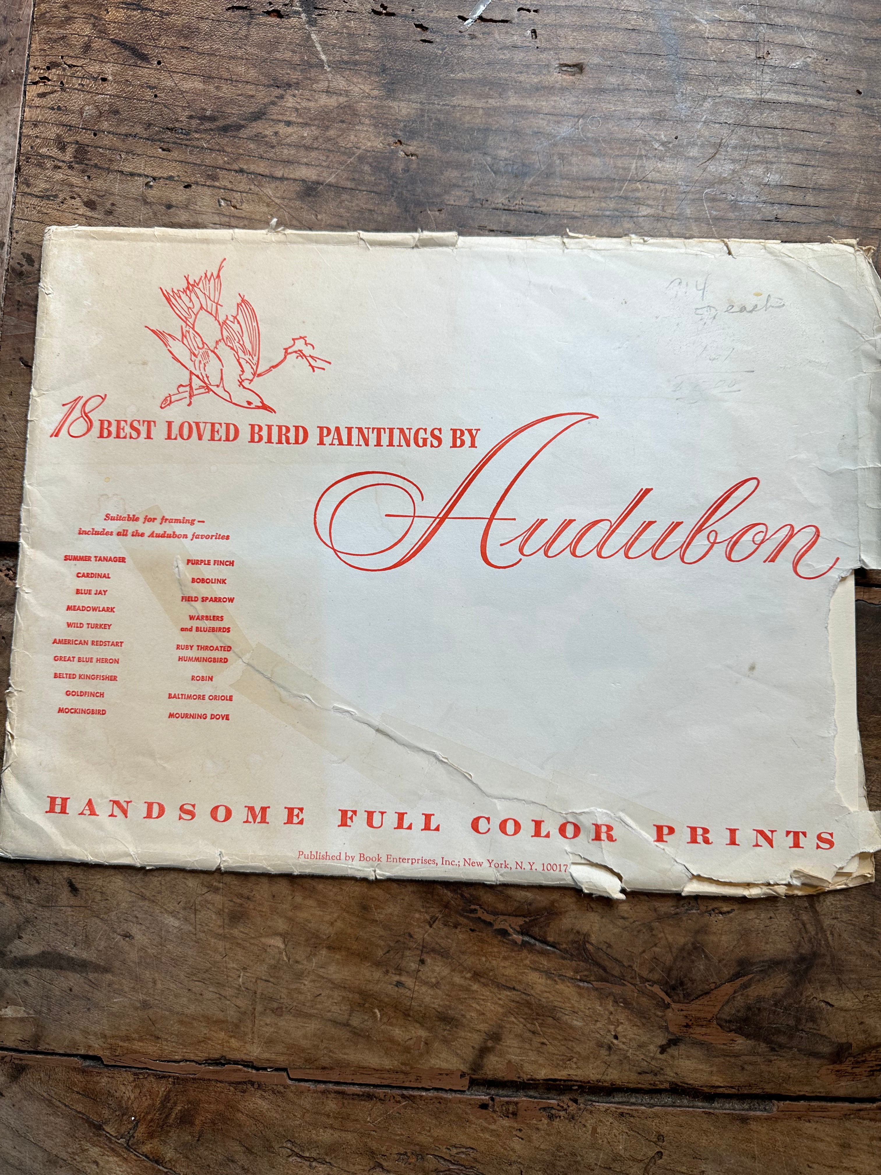Set of 6 Vintage Audubon Bird Prints – 12" x 9"