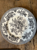 Vintage Royal Staffordshire Asiatic Pheasant Plate – 11 Inch