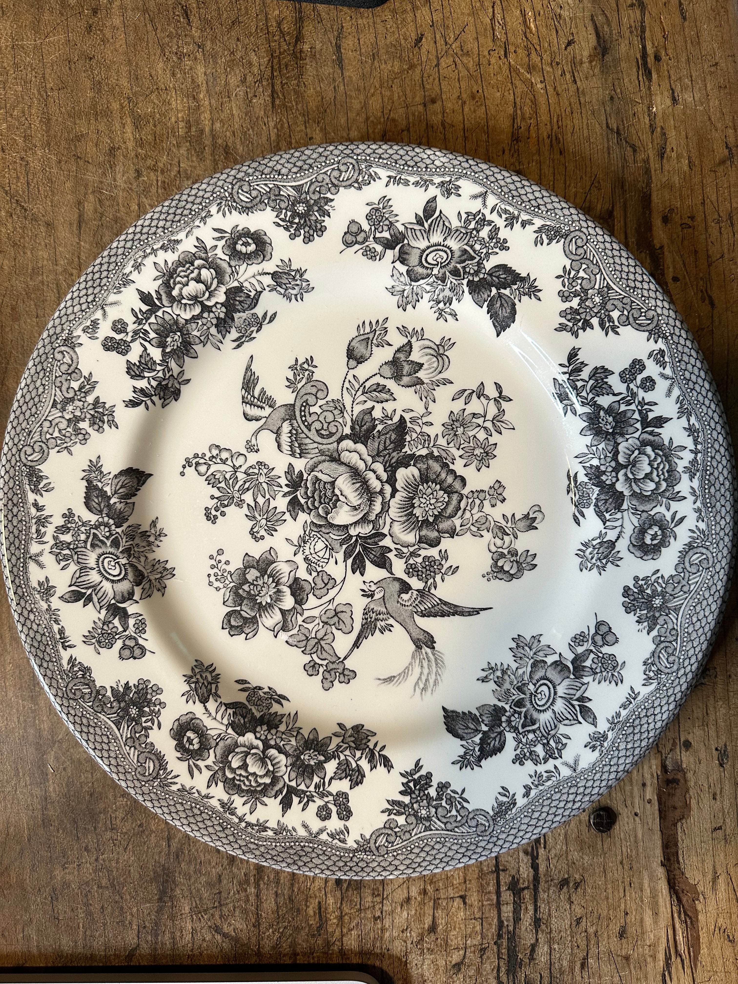 Vintage Royal Staffordshire Asiatic Pheasant Plate – 11 Inch