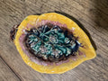 Antique Majolica Begonia Leaf Bowl | 8"
