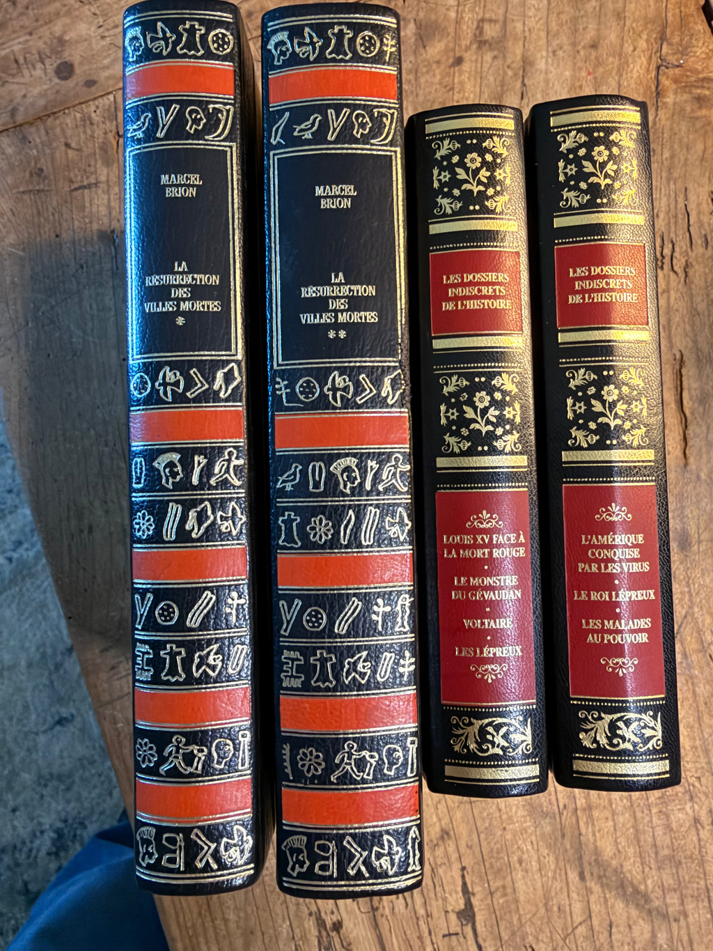 Vintage French Leather-Bound Books — Set of Four