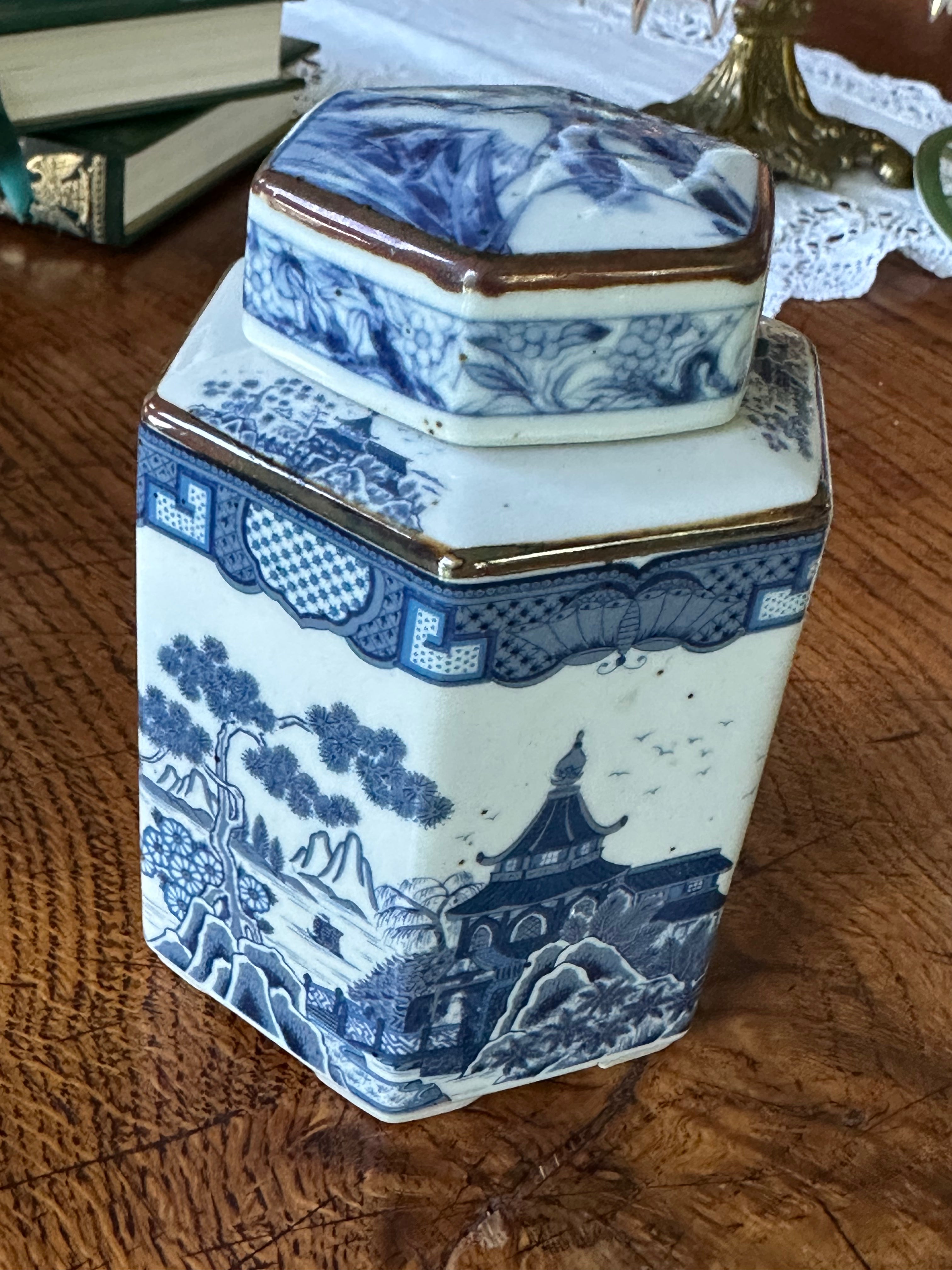 Chinese Blue & White Hexagonal Lidded Tea Caddy