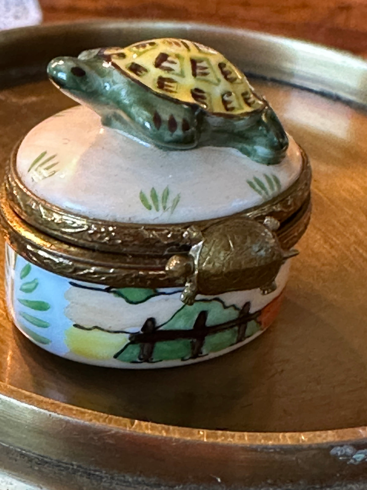 Vintage Limoges Porcelain Turtle Trinket Box with Brass Mount