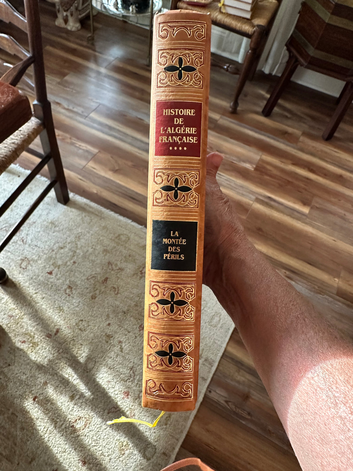 Vintage French Brown Leather Book